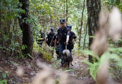 冲动的呼叫招呼声让正在场救援人员无